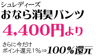 おなら消臭パンツと消音消臭クッション